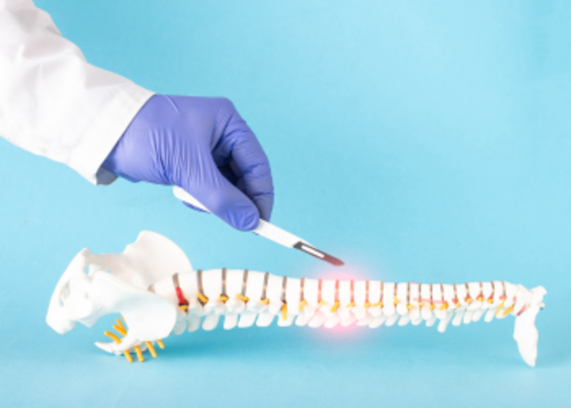 Lumbar Microscopic Discectomy