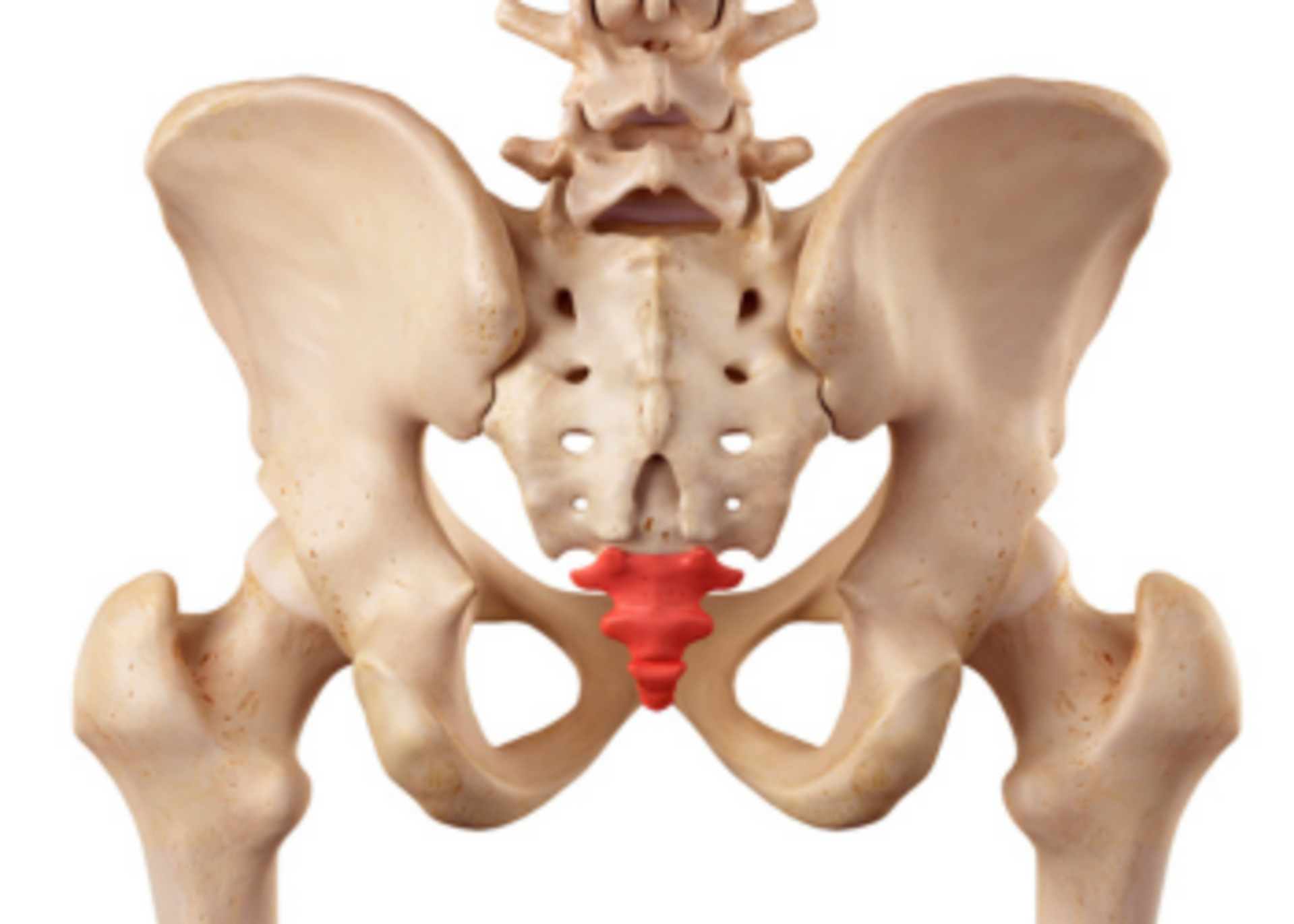 Ganglion of Impar Block